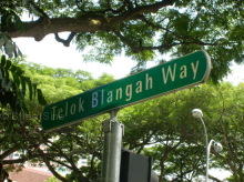 Telok Blangah Way #91742